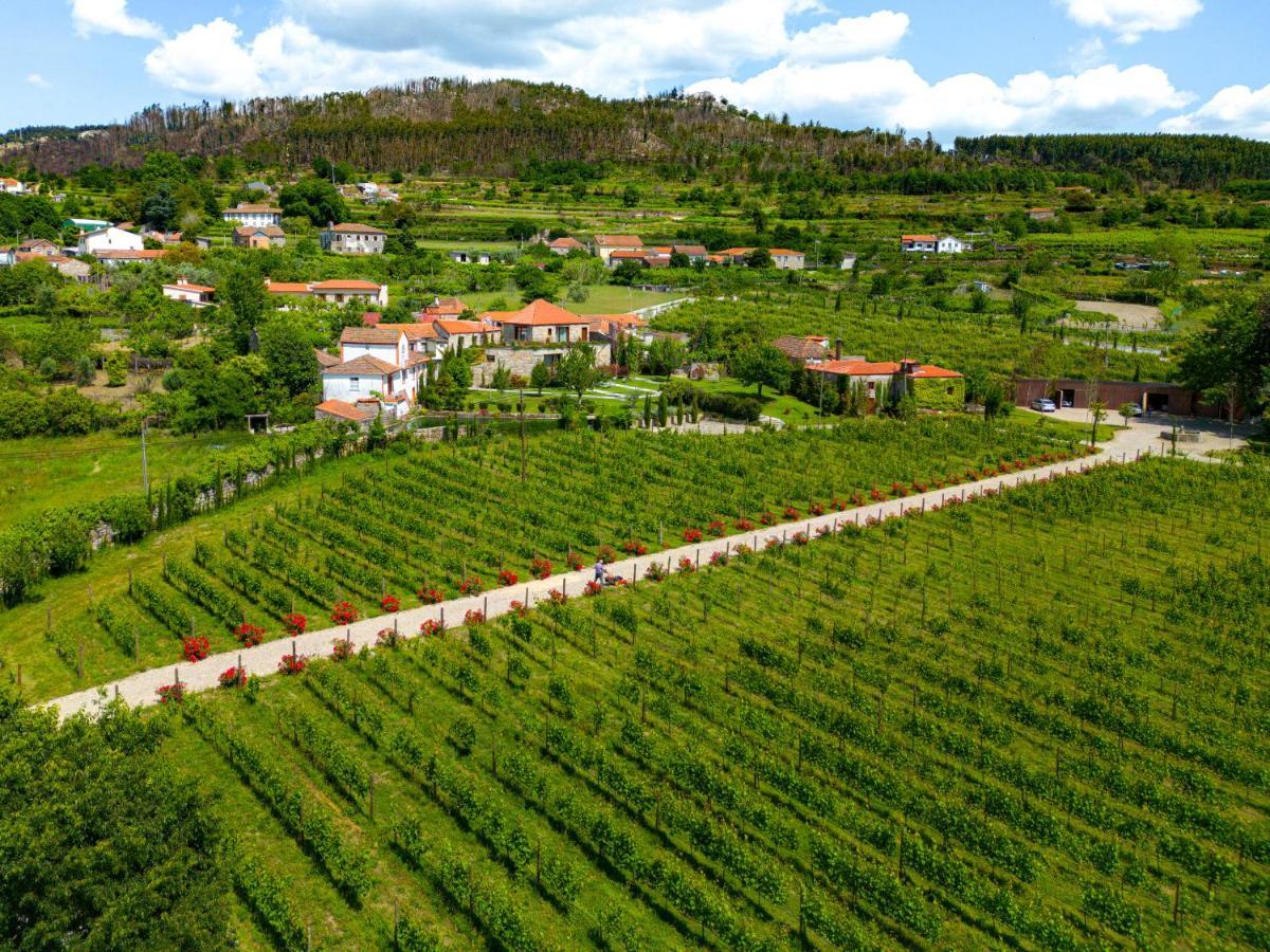 Lavandeira Douro Nature & Wellness Ancede Bagian luar foto